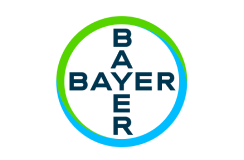 bayer
